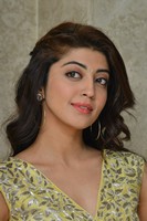 Pranitha at Hello Guru Prema Kosame Movie Success Meet